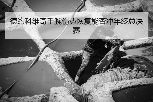 德约科维奇手腕伤势恢复能否冲年终总决赛